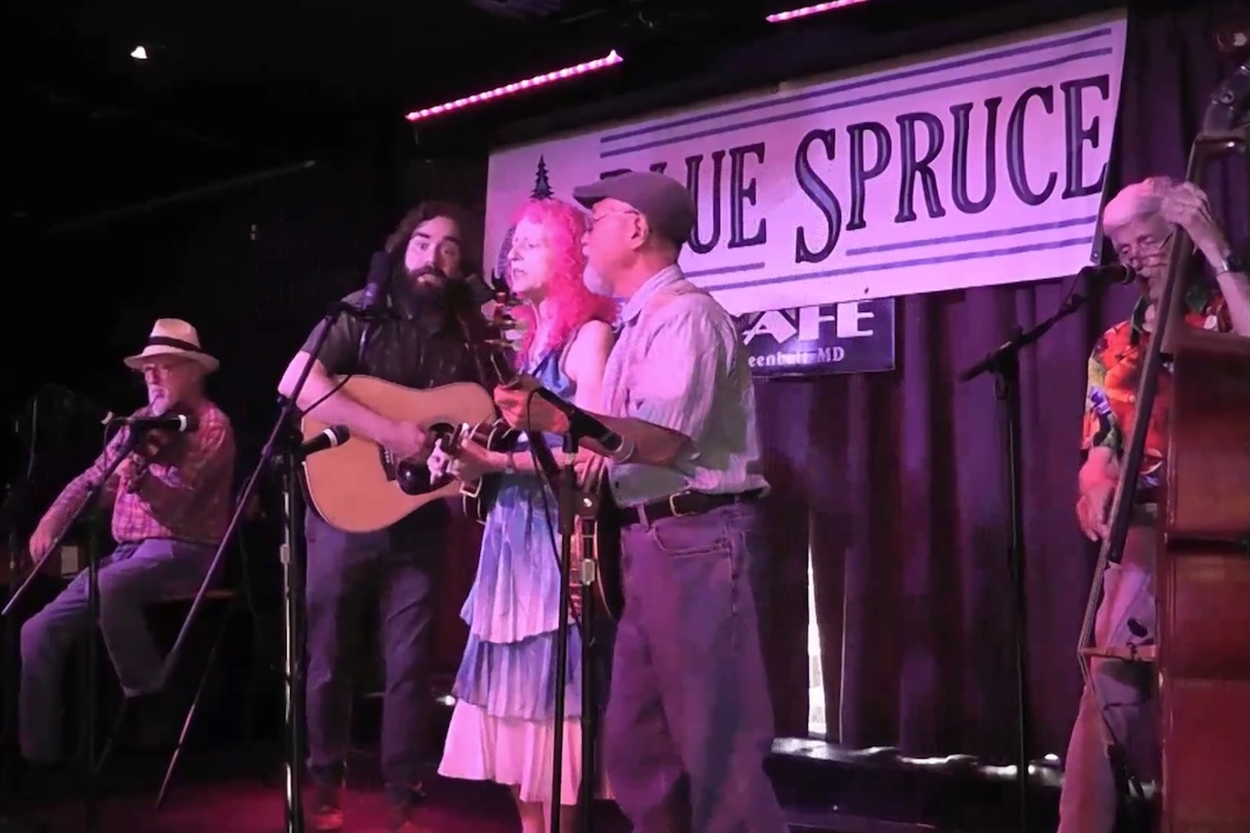 [Blue Spruce at the New Deal Cafe]